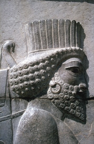 Relief of a Persian man, the Apadana, Persepolis, Iran