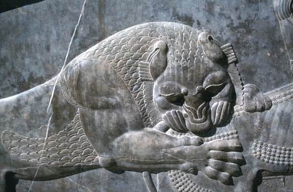 Detail from a relief of a lion attacking a bull, the Apadana, Persepolis, Iran