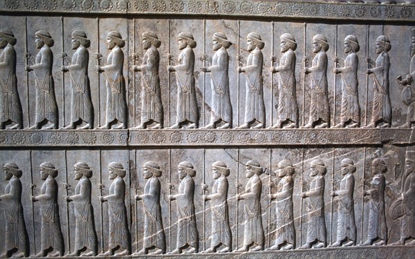 Relief of Immortals, the Apadana, Persepolis, Iran