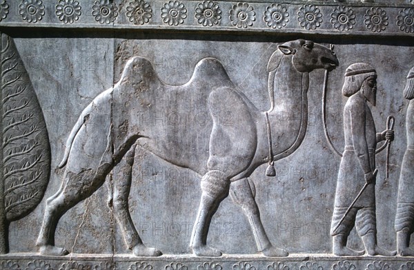 Relief of Parthians, the Apadana, Persepolis, Iran