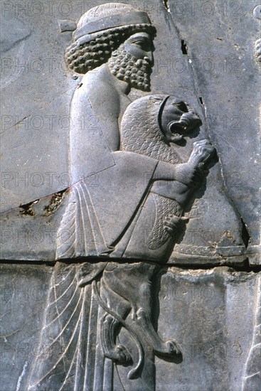 Relief of a man holding a lion cub, Persepolis, Iran