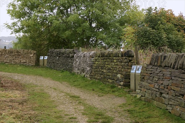 Millennium Wall, the National Stone Centre, Derbyshire