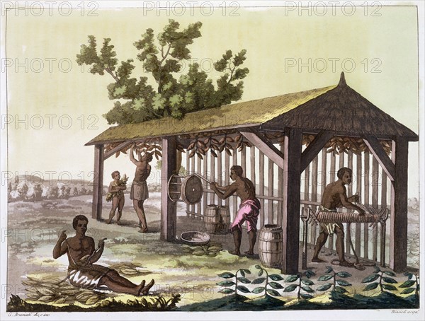 Slaves preparing tobacco, Virginia, USA. c1790 (c1820-1839). Artist: Angelo Biasioli