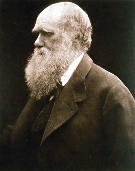 Charles Darwin, British naturalist, c1870s. Artist: Julia Margaret Cameron