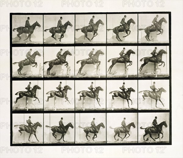 Man and horse jumping a fence, 1887 Artist: Eadweard J Muybridge