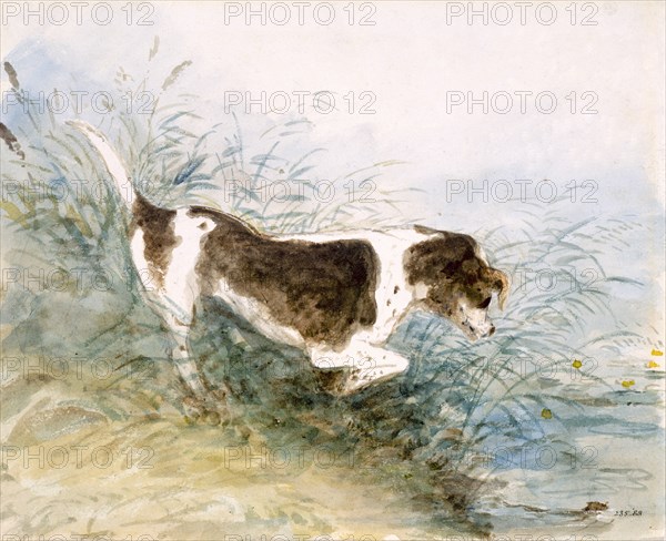 'A Dog Watching a Rat in the Water', 1831. Artist: John Constable