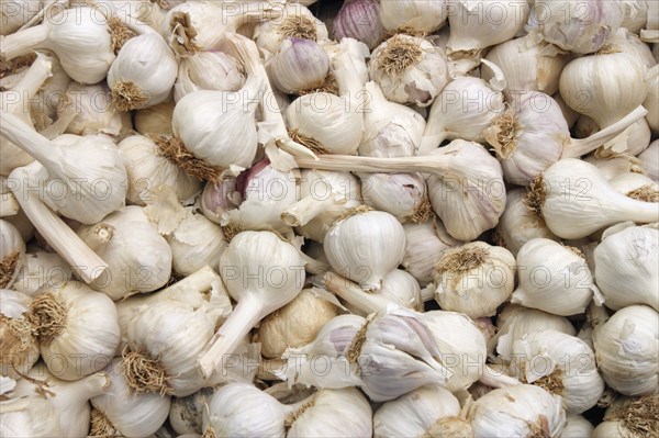 Garlic bulbs on a market stall, Mallorca, Spain.