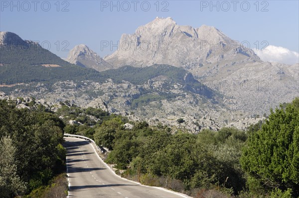 Puig Major, Mallorca, Spain.