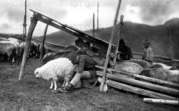 Sheep farming, Bistrita Valley, Moldavia, north-east Romania, c1920-c1945. Artist: Adolph Chevalier