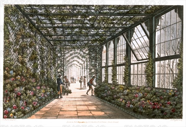 Corridor of a conservatory, 1808. Artist: Joseph Constantine Stadler