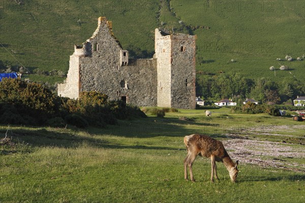 Lochranza Castle, Arran, North Ayrshire, Scotland.