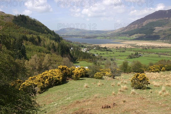 Bassenthwaite Lake from Whinlatter Pass, Lake District, Cumbria.