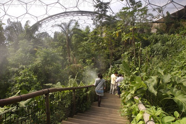 Inside the Humid Tropics Biome, Eden Project, near St Austell, Cornwall.