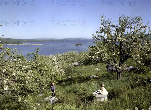 Children in the countryside during summer holidays, 1950s. Artist: Göran Algård