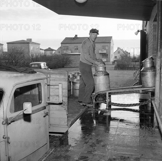 Milk delivery from a dairy, Landskrona, Sweden Artist: Unknown