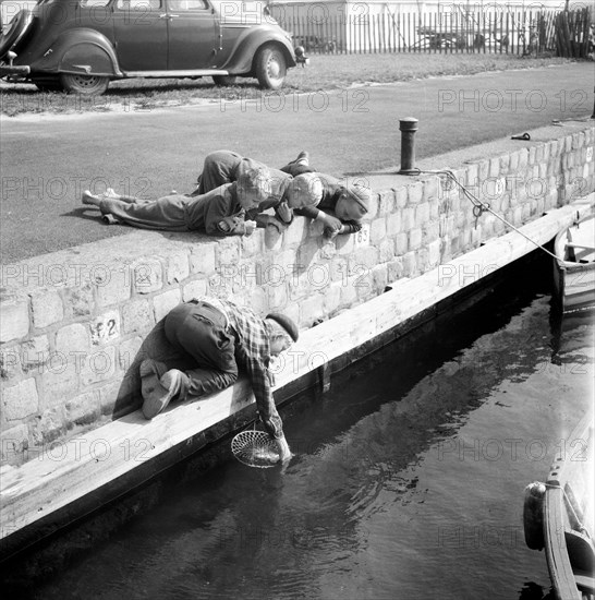 A boy catching crabs in the harbour of Landskrona, Sweden, 1954. Artist: Unknown