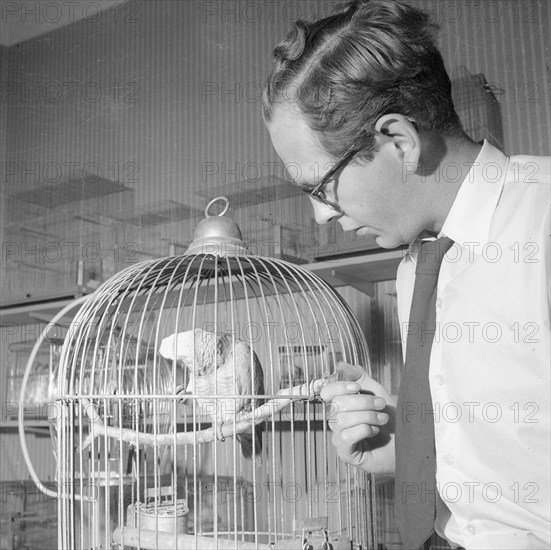 A man with a parrot in a pet shop, Landskrona, Sweden, 1959. Artist: Unknown