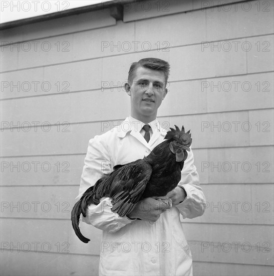 Man with a rooster, 1959. Artist: Unknown
