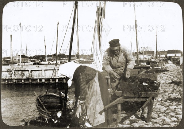 A fisherman and his wife with nets and a wheelbarrow, Borstahusen, Landskrona, Sweden, 1905. Artist: Unknown