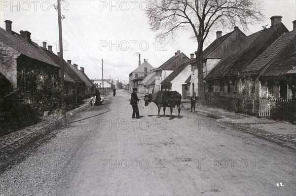 A farmer with a cow on a street, Landskrona, Sweden, 1900.  Artist: Borg Mesch