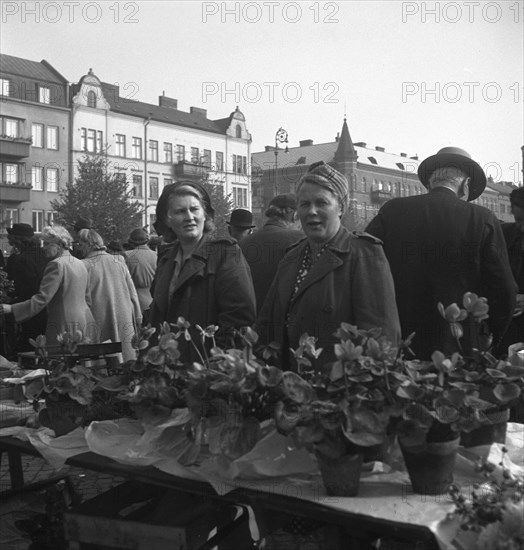 Potted plant stall in the market, Malmö, Sweden, 1947. Artist: Otto Ohm