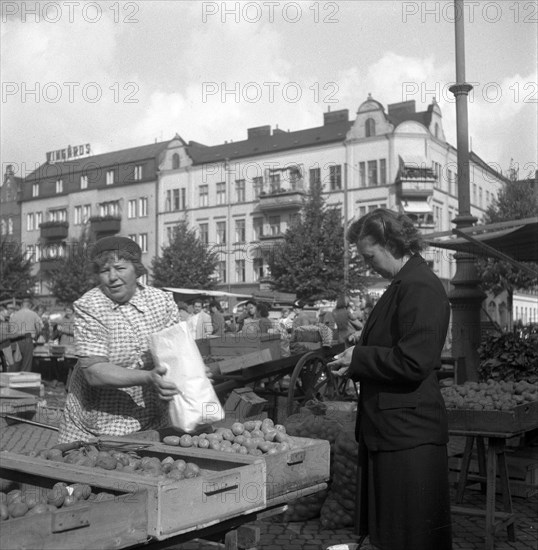 Woman buying potatoes from a fruit and vegetable stall in the market, Malmö, Sweden, 1947. Artist: Otto Ohm