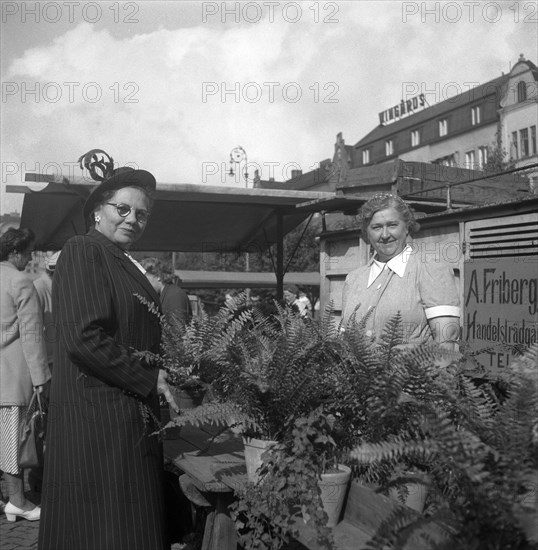 Potted plant stall in the market, Malmö, Sweden, 1947. Artist: Otto Ohm