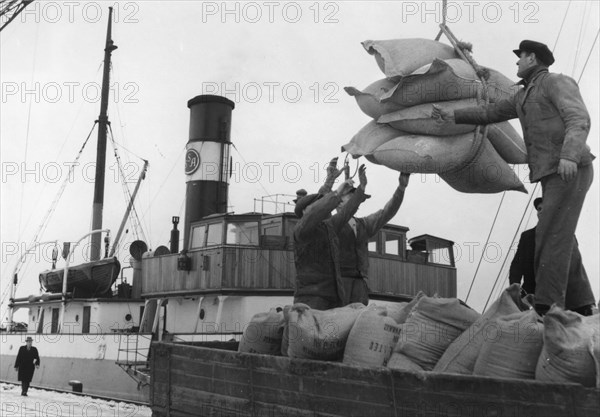 Unloading the freighter 'Helle', Trelleborg harbour, Sweden. Artist: Unknown