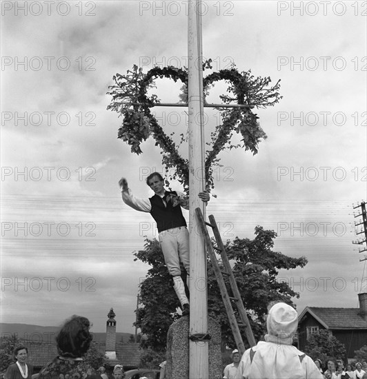 Raising the maypole for the Midsummer celebrations, Sweden, 1951. Artist: Torkel Lindeberg