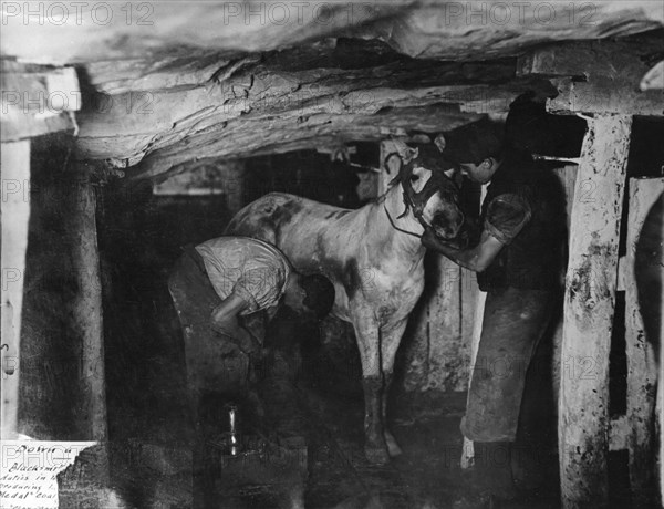 A blacksmith and his striker attending a pit pony, Clay Cross Colliery, Derbyshire, c1910. Artist: Albert Heath