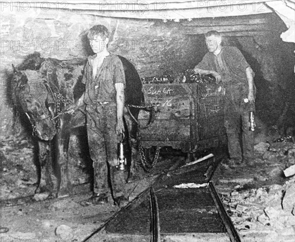 A pit pony pulling a tub full of coal at Brinsley Colliery, Nottinghamshire, 1913. Artist: Rev FW Cobb