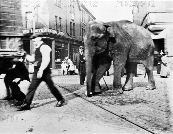 The Wakes, Bulwell, Nottingham, Nottinghamshire, c1900s. Artist: Unknown