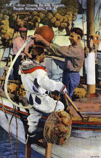 Diver coming up with sponges, Tarpon Springs, Florida, USA, 1940. Artist: Unknown