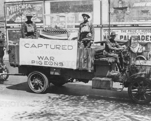 'Captured German War Pigeons', Fort Sheridan, Illinois, USA, 1915. Artist: Unknown