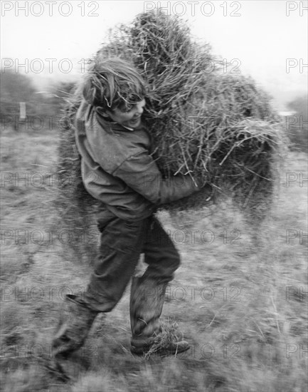 Boy carrying hay, c1960s.