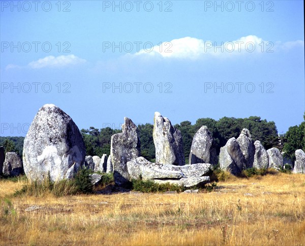 Kermario Alignments, Carnac, France.