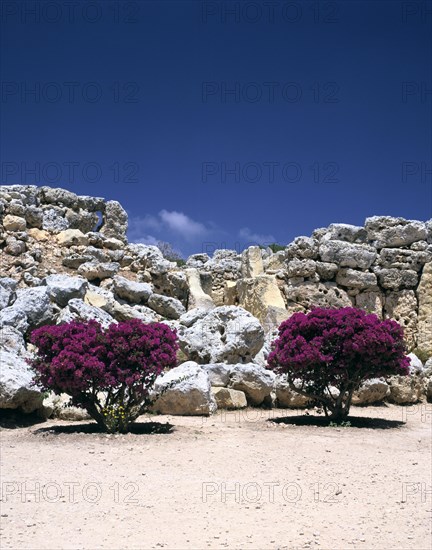 A megalithic temple complex, Ggantija, Gozo, Malta, 20th century.