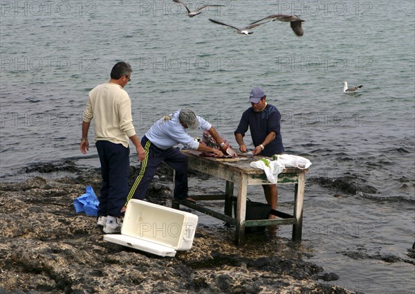 Cleaning Fish, Corralejo, Fuerteventura, Canary Islands.