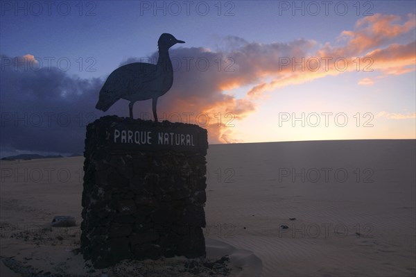 Dunes Natural Park, Fuerteventura, Canary Islands.