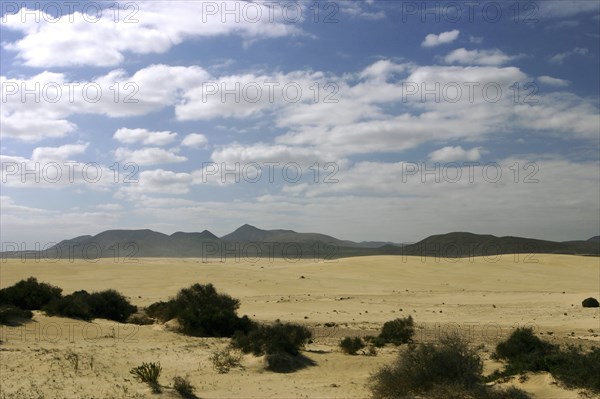 Sand Dunes, Corralejo, Fuerteventura, Canary Islands.