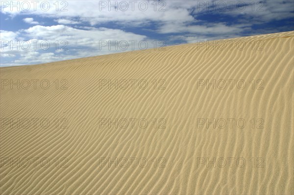 Sand Dunes, Corralejo, Fuerteventura, Canary Islands.