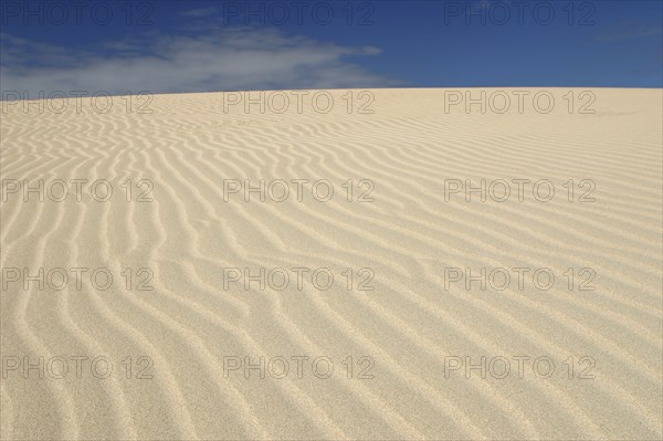 Sand Dunes, Corralejo, Fuerteventura, Canary Islands.