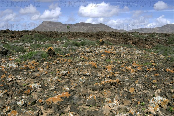 Volcanic landscape, Malpais Grande, Fuerteventura, Canary Islands.