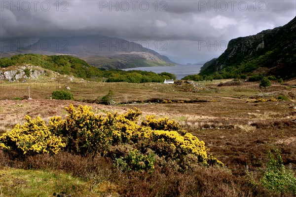 Loch Maree, Highland, Scotland.