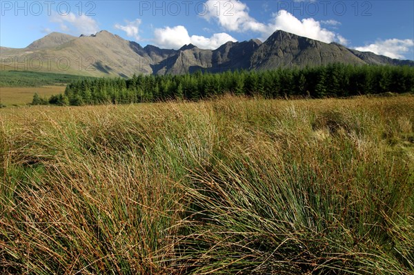 Cuillin Hills from Glen Brittle, Isle of Skye, Highland, Scotland.