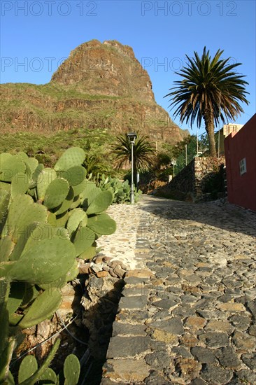 Cactus and street in Masca, Tenerife, Canary Islands, 2007.