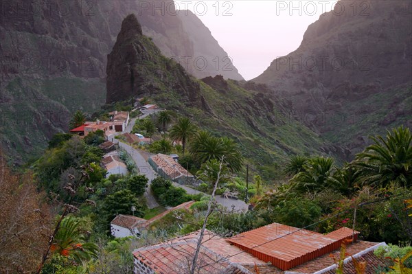 Masca, Tenerife, Canary Islands, 2007.