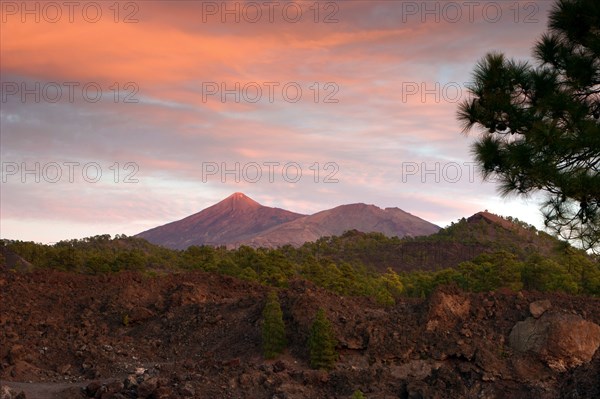 Mount Teide, volcano on Tenerife, Canary Islands, 2007.