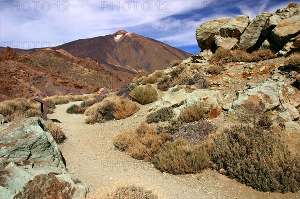 Mount Teide, Parque Nacional del Teide, Tenerife, Canary Islands, 2007.