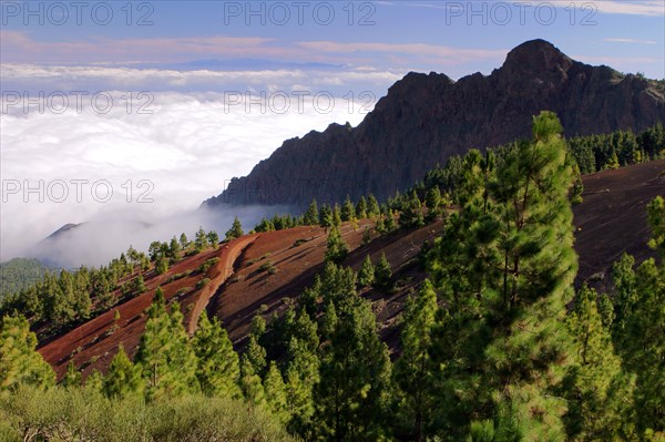 View from Mirador de la Cumbre, Parque Nacional del Teide, Tenerife, Canary Islands, 2007.